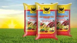 Lợi nhuận “lao dốc”, thù lao nhiều lãnh đạo Phân bón Bình Điền (BFC)  tăng hơn gấp đôi