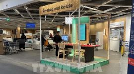 Lạm phát giá thực phẩm tại Anh giảm xuống mức thấp nhất trong gần 2 năm