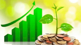 Lịch chốt quyền cổ tức tuần đầu tháng 8: Vinhomes "lăn chốt", cổ tức tiền mặt cao nhất 100%