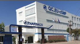 CEO Pharbaco Nguyễn Đình Tuấn bị phạt hơn nửa tỷ đồng vì “mua chui” gần 3,5 triệu cổ phiếu PBC