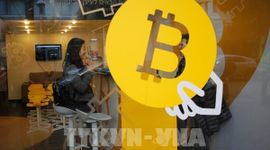 Tiến sát 80.000 USD, bitcoin hướng đến tuần tăng mạnh nhất trong hơn 3 năm