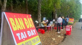 260.000 ‘cò đất’, môi giới tự do đang hành nghề trái luật?