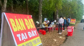 260.000 ‘cò đất’, môi giới tự do đang hành nghề trái luật?
