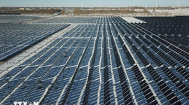 Mỹ dự kiến áp thuế 15% lên mặt hàng polysilicon để bảo vệ sản xuất trong nước