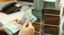 Chuyên gia quốc tế đánh giá tích cực về tiền đồng của Việt Nam