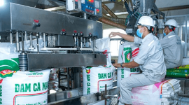 Loạt lãnh đạo Đạm Cà Mau (DCM) nhận thù lao “khủng”, có người bình quân vượt 1 tỷ đồng mỗi tháng