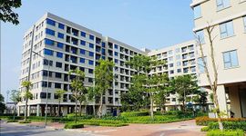 TP.HCM đề xuất làm điều chưa từng có với các khu chung cư