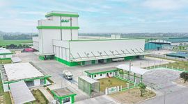 BAF và áp lực huy động vốn trong bối cảnh lợi nhuận đi lùi
