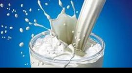 Ngành sữa Australia đạt doanh thu kỷ lục dù sản lượng giảm