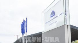 Giá dầu cao sẽ thúc đẩy ECB tăng lãi suất