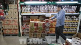 Moody's: Kinh tế Đông Nam Á vững vàng nhờ sự bùng nổ AI