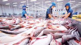 Mặt hàng tỷ đô của Việt Nam gặp ‘cơn bão kép’ tại Mỹ: Xuất khẩu tháng 8 giảm gần 55%, nguy cơ chịu ‘thuế chồng thuế’