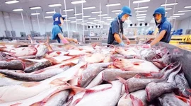 Mặt hàng tỷ đô của Việt Nam gặp ‘cơn bão kép’ tại Mỹ: Xuất khẩu tháng 8 giảm gần 55%, nguy cơ chịu ‘thuế chồng thuế’