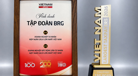 Tập đoàn BRG lọt Top 4 doanh nghiệp tư nhân nộp ngân sách lớn nhất Việt Nam