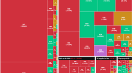 Rung lắc tiếp tục xuất hiện, VN-Index vẫn đóng cửa trên mốc 1.800 điểm