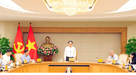 Dự thảo Luật Đất đai (sửa đổi): Nghiên cứu thuế chống đầu cơ và bỏ hoang đất