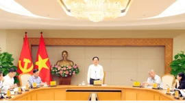 Dự thảo Luật Đất đai (sửa đổi): Nghiên cứu thuế chống đầu cơ và bỏ hoang đất