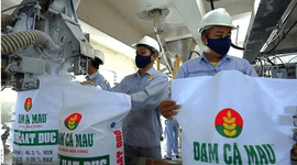 Phó Tổng Giám đốc Đạm Cà Mau (DCM) thôi chức trước thềm ĐHĐCĐ bất thường