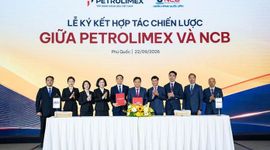 NCB và Petrolimex hợp tác chiến lược, kết nối hiệu quả hê sinh thái năng lượng và tài chính