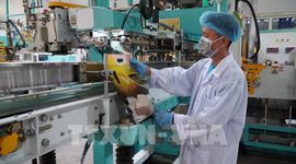 ADB nâng mạnh dự báo tăng trưởng của kinh tế Việt Nam trong năm 2026 và 2027