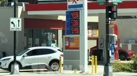 Mỹ xem xét cấm xuất khẩu dầu diesel nhằm hạ giá nhiên liệu