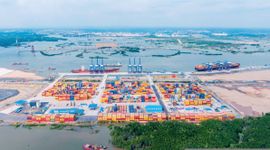 Cảng Phước An (PAP) dự kiến lỗ hơn 5.400 tỷ đồng, không chia cổ tức giai đoạn 2026