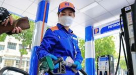 Giá xăng dầu hôm nay 24/9: Xăng E10 RON95 tăng hơn 1.450 đồng/lít