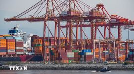 Mỹ cấm nhập khẩu hàng hóa trị giá gần 1 tỷ USD của Canada
