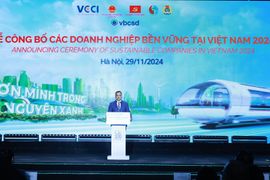 Phát triển thị trường carbon là chìa khóa giúp Việt Nam ứng phó với biến đổi khí hậu
