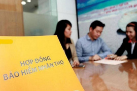 Lợi nhuận thuần từ kinh doanh bảo hiểm sụt giảm, Manulife, Prudential, Dai-ichi Life và Cathay Life vẫn lãi nghìn tỷ nhờ đâu?