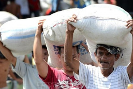 Sản lượng lúa của Philippines lập kỷ lục mới