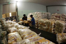 Giá gạo Việt Nam chạm mức thấp nhất 2 tháng