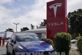 Doanh số của Tesla tại Trung Quốc chạm mức thấp nhất trong 3 năm