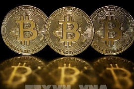 Pháp tăng kiểm tra thuế với người sở hữu tiền số