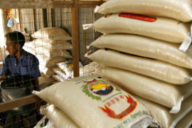 Nhu cầu gạo từ châu Á giảm, doanh nghiệp tích cực chuyển hướng thị trường