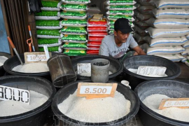 Indonesia đạt sản lượng gạo kỷ lục, giảm giá gạo toàn cầu