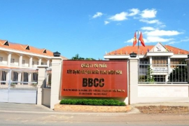 Công ty VLXD trên sàn muốn chia cổ tức tiền mặt tỷ lệ 40%