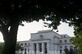 Fed có thể tiếp tục giảm lãi suất khi xem xét số liệu của thị trường việc làm