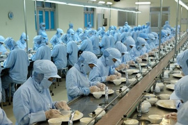 Một doanh nghiệp nhà nước giải thể 11 đơn vị và công ty con