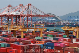 Mỹ miễn thuế đối với rong biển đã qua xử lý của Hàn Quốc