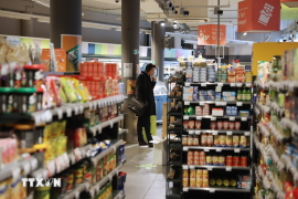 Lạm phát Eurozone ổn định, ECB có khả năng giữ nguyên lãi suất