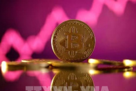 Nhà đầu tư dài hạn bán mạnh, bitcoin chịu áp lực lớn