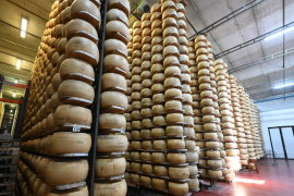 Gồng mình chống đỡ cú sốc từ chính sách thuế quan của Mỹ, kinh tế EU lao đao