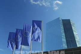 ECB thận trọng trước ngã rẽ chính sách