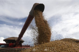 Giá gạo châu Á tăng, ngũ cốc Mỹ và cà phê biến động trái chiều