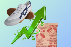 Hàng triệu cổ phần của Giày Thượng Đình và chủ thương hiệu mì gói “Hai con tôm” được săn đón ra sao?