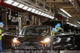 Doanh số xe Tesla năm 2025 giảm gần 40% tại EU