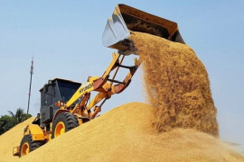 Vựa lúa lớn nhất thế giới tồn kho tăng kỷ lục, đối thủ của gạo Việt Nam nhận tin không vui