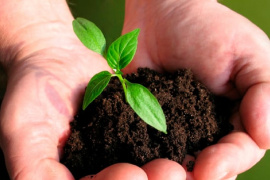 CTCK điểm tên doanh nghiệp phân bón tiềm năng 2026, kỳ vọng tăng trưởng 2 chữ số