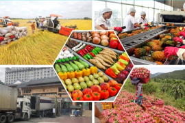 Tổng kim ngạch xuất khẩu nông, lâm, thủy sản ước đạt 70,09 tỷ USD